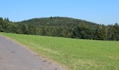 Tour Zu Fuß Hilders - Rundweg 19, Eckweisbach - Photo 2