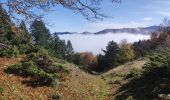 Trail Walking Prades - Prades col de la Gardie - Photo 1