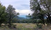 Tour Wandern L'Albère - autour de St Martin l'albere et puig forcadell  - Photo 1