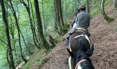 Trail Horseback riding Accous - Accous-Lescun-Lhers - Photo 1
