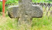 Tour Zu Fuß Bad Brambach - Wanderweg grüner Strich - Photo 4