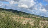 Trail Horseback riding Saint-Hubert - Chez Audrey et Laure a la chapelle de Rabas  - Photo 1