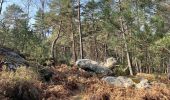 Tocht Stappen Fontainebleau - Boucle Barbizon vers le désert  - Photo 2