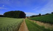 Tour Mountainbike Charleroi - VTT DES 2 ABBAYES - Photo 2