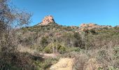 Trail Walking Roquebrune-sur-Argens - Rocher de Roquebrune sur Argens-23-02-22 - Photo 5