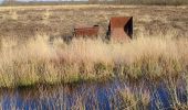 Tocht Stappen Emmen - Bargerveen - Photo 2