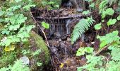 Tocht Stappen Theys - PROMENADE AUTOUR DU COL DES AYES - Photo 12