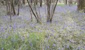 Percorso Marcia Nouzonville - meillier fontaine  chemin bleu  les hutins - Photo 3