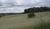 Tour Zu Fuß Sankt Wendel - 5-Weiher-Tour - Photo 8