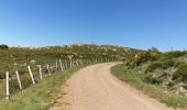 Excursión Bici de montaña Vialas - Mas de barque tracé 2 - Photo 6