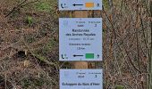 Trail Walking Andenne - GR RB Fam Namur 02 - Photo 4