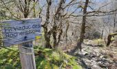 Tour Wandern Lapleau - viaduc rochers noirs - Photo 19