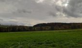 Tour Wandern Theux - tour  des fermes. f airifagne . f wisselez . Mont . hodbomont . f st Remacle - Photo 6