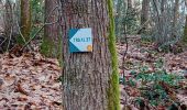 Trail Walking Bourgueil - Bourgueil dont trail (4) 10 km - Photo 1