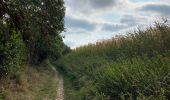 Tour Wandern Vuren - Moelingen Fourons 24 km - Photo 20