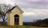 Tocht Te voet Greinbach - Penzendorf Wanderweg 7 - Photo 2