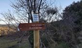Randonnée Marche nordique Le Puech - Les Hémies St Agricol Rabejac Dec 2021 - Photo 16