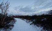 Trail On foot Texel - De Geul - Photo 9
