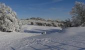 Tour Schneeschuhwandern Léoncel - Le Grand Echaillon - Les Crêtes de la Sausse - Photo 6