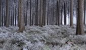 Percorso Marcia Theux - dans le givre de Crambon  - Photo 5