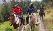 Trail Horseback riding Ban-de-Laveline - ACPL Ban de laveline yoigo  - Photo 3