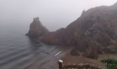 Randonnée Marche Théoule-sur-Mer - Ballade à la Pointe de l'Aiguille - Photo 12