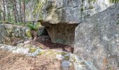 Tocht Stappen Fontainebleau - Fontainebleau sentier Denecourt 7-8 8-8 - Photo 11