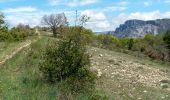 Randonnée Marche Le Castellard-Mélan - Cretes du castellard et anciens chemins de Sisteron, col de Mounis, église et point de vue de depuis Mélan - Photo 9