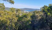 Excursión Ruta Cavalaire-sur-Mer - cavalaire, corniche des maures  - Photo 1