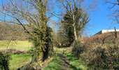 Trail Walking Mont-de-l'Enclus - Amougies 16 km - Photo 7