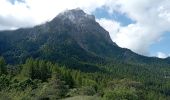 Excursión Senderismo Savines-le-Lac - Serre-Ponçon 04 06 2024 (Savine le lac) - Photo 3