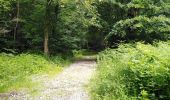 Randonnée Marche Seraing - Famelette Roches aux faucons Beauregard - Photo 1