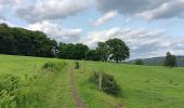 Trail Walking Theux - autour du Maquisart - Photo 5