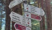 Trail On foot Oberharmersbach - Harmersbacher Vesperweg - Photo 1
