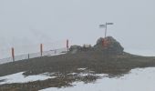 Percorso Racchette da neve Aragnouet - Piau-Engaly: Le Col, Neste de Badet (Brouillard) - Photo 2