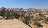 Randonnée Marche Unknown - 2024 Canyonlands The Needles - Photo 18