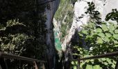 Tour Wandern La Palud-sur-Verdon - Chemin Martel  - Photo 13