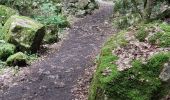Trail Walking Montmeyan - les basses gorges de quinson - Photo 12