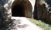 Randonnée Marche Aniane - Aniane chapelle combe ancienne VF Tunnel - Photo 6