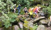 Randonnée Marche Prévenchères - Gorges de Chassezac  - Photo 5