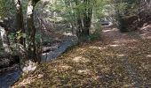 Percorso Marcia Baelen - Membach - Limbourg - Barrage de la Gileppe - Photo 15