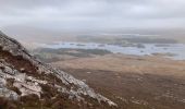 Tocht Stappen Conamara Municipal District - Début rando des Twelve Bens - Photo 2