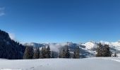 Excursión Raquetas de nieve Saint-Jean-de-Sixt - Le panorama du Danay (14) - Photo 15