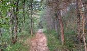 Tour Wandern Chorges - Chorges montagne du bois du Ruban - Photo 14