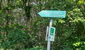 Trail On foot Querfurt - Rundweg Hermannseck - Photo 5