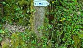 Trail Walking Collonges-la-Rouge - colonge - Photo 18