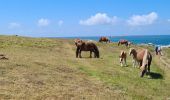 Trail Walking Landunvez - Sentier côtier Gwenado Aod - Photo 17