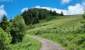 Trail Walking Mont-Dore - 2021-07-01 puy de sanctions départ du capucin  - Photo 10