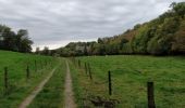 Tour Wandern Houyet - celle - Photo 1