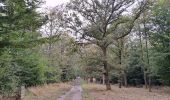 Excursión Senderismo Rochefort - Marche ADEPS Havrenne  - Photo 2